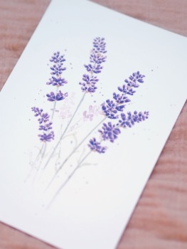 Premium Postkarte "Lavendel"
